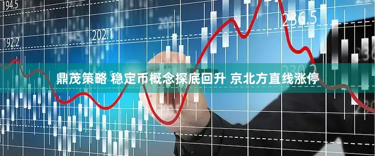 鼎茂策略 稳定币概念探底回升 京北方直线涨停