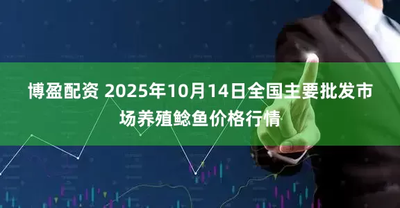 博盈配资 2025年10月14日全国主要批发市场养殖鲶鱼价格行情