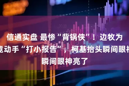 信通实盘 最惨“背锅侠”！边牧为脱罪竟动手“打小报告”，柯基抬头瞬间眼神亮了