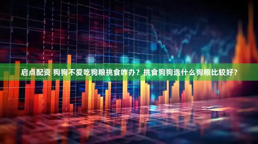 启点配资 狗狗不爱吃狗粮挑食咋办？挑食狗狗选什么狗粮比较好？