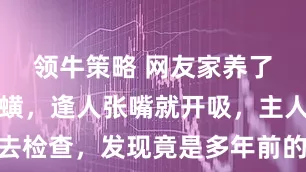 领牛策略 网友家养了只巨型犬蟥，逢人张嘴就开吸，主人无奈带去检查，发现竟是多年前的心太软…狗子：时间一长，地久天长，你的拔犬罐来了…
